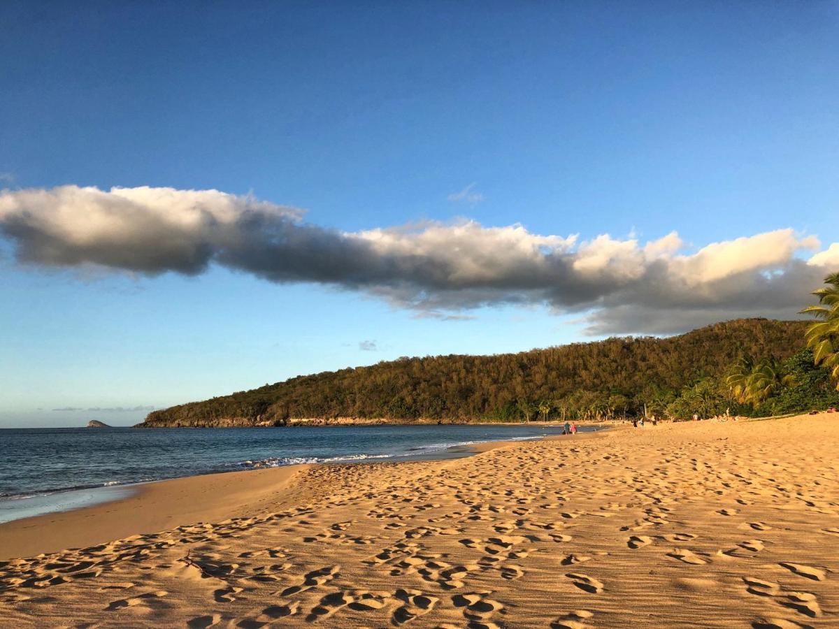 Le Surf Lodge, Chambre Avec Vue Mer Dans Un Ecrin De Verdure Деше Экстерьер фото